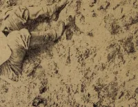 Picture 45 of 160 from Ohio archæological and historical quarterly (1887), leaf 313