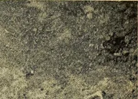 An illustration from Ohio archæological and historical quarterly (1887)