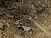Picture 52 of 160 from Ohio archæological and historical quarterly (1887), leaf 325