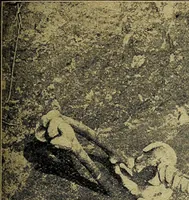 An illustration from Ohio archæological and historical quarterly (1887)