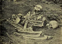 Picture 59 of 160 from Ohio archæological and historical quarterly (1887), leaf 332