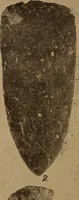 An illustration from Ohio archæological and historical quarterly (1887)