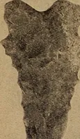 Picture 69 of 160 from Ohio archæological and historical quarterly (1887), leaf 361
