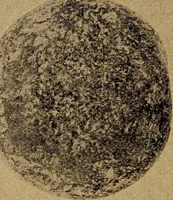 An illustration from Ohio archæological and historical quarterly (1887)