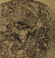 Picture 71 of 160 from Ohio archæological and historical quarterly (1887), leaf 363