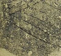 Picture 78 of 160 from Ohio archæological and historical quarterly (1887), leaf 370