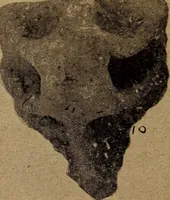 An illustration from Ohio archæological and historical quarterly (1887)
