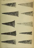 Picture 88 of 160 from Ohio archæological and historical quarterly (1887), leaf 378