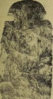 Picture 90 of 160 from Ohio archæological and historical quarterly (1887), leaf 380