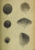 An illustration from Ohio archæological and historical quarterly (1887)