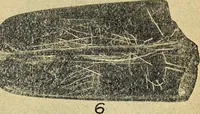 Picture 102 of 160 from Ohio archæological and historical quarterly (1887), leaf 392