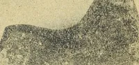 Picture 104 of 160 from Ohio archæological and historical quarterly (1887), leaf 392