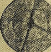 Picture 107 of 160 from Ohio archæological and historical quarterly (1887), leaf 396