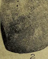 Picture 114 of 160 from Ohio archæological and historical quarterly (1887), leaf 402