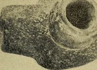 Picture 116 of 160 from Ohio archæological and historical quarterly (1887), leaf 404