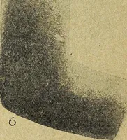 Picture 121 of 160 from Ohio archæological and historical quarterly (1887), leaf 406