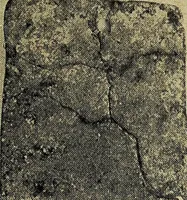 Picture 125 of 160 from Ohio archæological and historical quarterly (1887), leaf 412