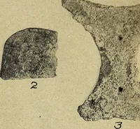 Picture 126 of 160 from Ohio archæological and historical quarterly (1887), leaf 412