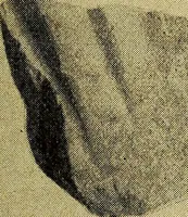 An illustration from Ohio archæological and historical quarterly (1887)