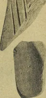 An illustration from Ohio archæological and historical quarterly (1887)