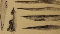 Picture 133 of 160 from Ohio archæological and historical quarterly (1887), leaf 417