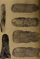 Picture 140 of 160 from Ohio archæological and historical quarterly (1887), leaf 431