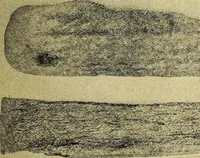 Picture 141 of 160 from Ohio archæological and historical quarterly (1887), leaf 432