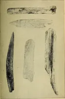 Picture 142 of 160 from Ohio archæological and historical quarterly (1887), leaf 434