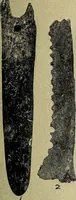 Picture 149 of 160 from Ohio archæological and historical quarterly (1887), leaf 446