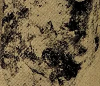 Picture 157 of 160 from Ohio archæological and historical quarterly (1887), leaf 455