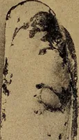 Picture 158 of 160 from Ohio archæological and historical quarterly (1887), leaf 455