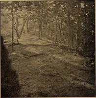 An illustration from Ohio archæological and historical quarterly (1887)