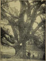 An illustration from Ohio archæological and historical quarterly (1887)