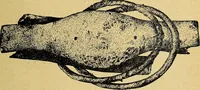 An illustration from Ohio archæological and historical quarterly (1887)