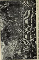 An illustration from Ohio archæological and historical quarterly (1887)