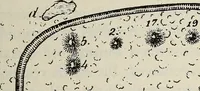 An illustration from Ohio archæological and historical quarterly (1887)