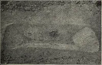 Picture 46 of 133 from Ohio archæological and historical quarterly (1887), leaf 458