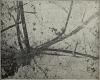 An illustration from Ohio archæological and historical quarterly (1887)