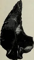 Picture 84 of 133 from Ohio archæological and historical quarterly (1887), leaf 540