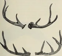 An illustration from Ohio archæological and historical quarterly (1887)
