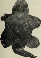 An illustration from Ohio archæological and historical quarterly (1887)