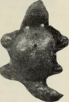 An illustration from Ohio archæological and historical quarterly (1887)