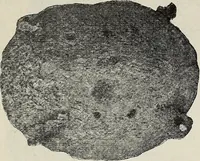 An illustration from Ohio archæological and historical quarterly (1887)
