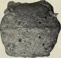 An illustration from Ohio archæological and historical quarterly (1887)