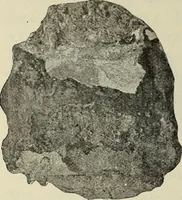 An illustration from Ohio archæological and historical quarterly (1887)