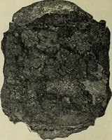 Picture 108 of 133 from Ohio archæological and historical quarterly (1887), leaf 565