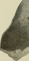 An illustration from Ohio archæological and historical quarterly (1887)