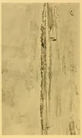 An illustration from Oils, water colors, pastels & drawings by James McNeill Whistler (1911)