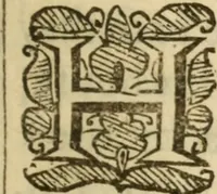 An illustration from Look unto Jesus, or, An ascent to the Holy Mount, to see Jesus Christ in his glory : whereby active and contemplative believer may have the eyes of his understanding more inlightned .. (1663)
