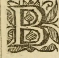 An illustration from Look unto Jesus, or, An ascent to the Holy Mount, to see Jesus Christ in his glory : whereby active and contemplative believer may have the eyes of his understanding more inlightned .. (1663)